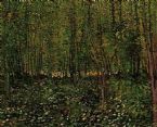 Trees and Undergrowth2  by Vincent Van Gogh